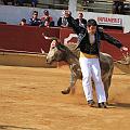 JCD_14472