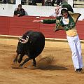 JCD_14496