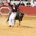 JCD_14896