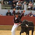 JCD_14912