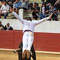 JCD_14954