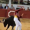 JCD_14959