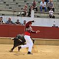 JCD_14986