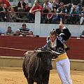 JCD_15009