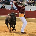 JCD_15013
