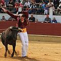 JCD_15029