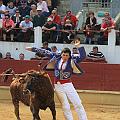 JCD_15101