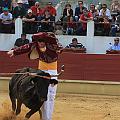 JCD_15147