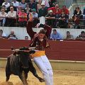 JCD_15161