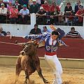 JCD_15170