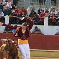 JCD_15184