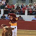 JCD_15185