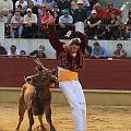 JCD_15193