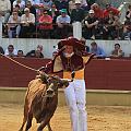 JCD_15194