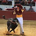JCD_15212