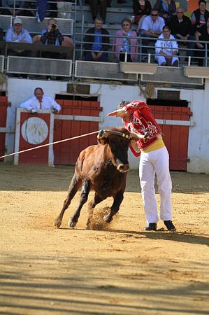 JCD_14026