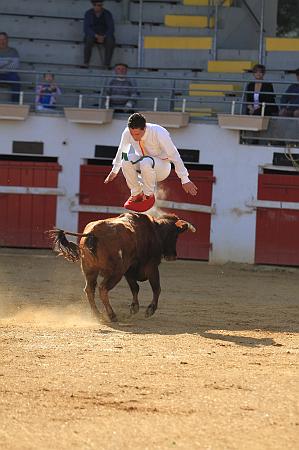 JCD_14097