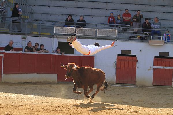 JCD_14104
