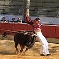 JCD_14068
