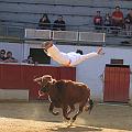 JCD_14104