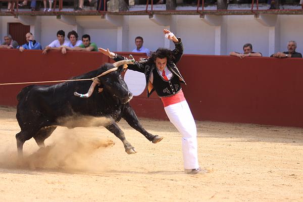 IMG_4584