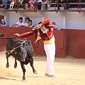 IMG_4600