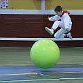 JCD_29540