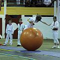 JCD_29590