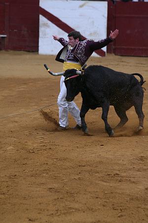 IMG_0074