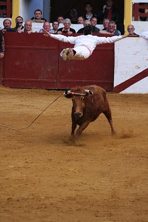 IMG_0115