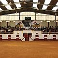IMG_0025