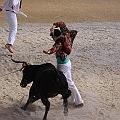 IMG_3233