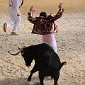 IMG_3238