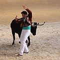 IMG_3239