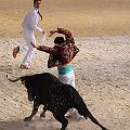 IMG_3246