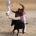 IMG_3248