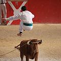 IMG_3249