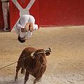 IMG_3251
