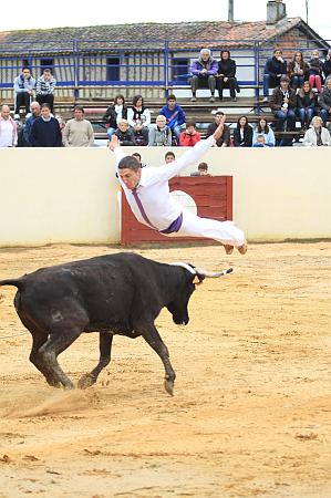 JCD_23951