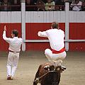 IMG_2815