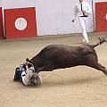 IMG_2820
