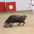 IMG_2821