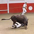 IMG_2822