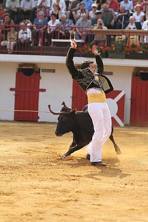 JCD_39272