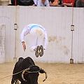 IMG_1999