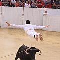 IMG_2121