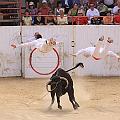 IMG_2132