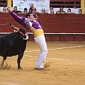 IMG_9216