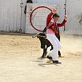 JCD_35453