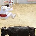 JCD_35454